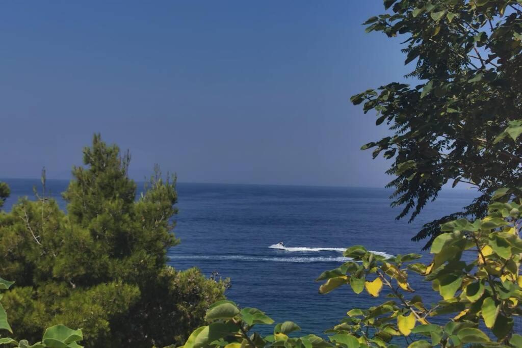 Spectacular Seaview Apartment Vlore Bagian luar foto